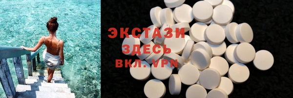 стаф Вязьма