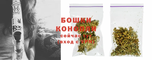 стаф Вязьма