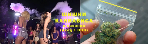 стаф Вязьма