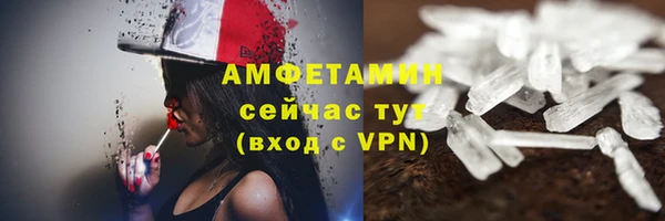 стаф Вязьма
