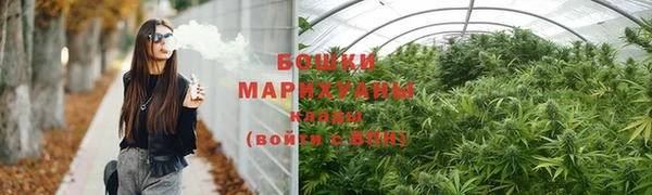 стаф Вязьма
