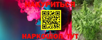 прущие грибы Ипатово